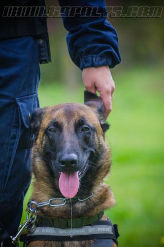 Manny1-27092017-small-