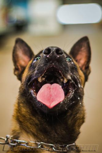 Manny1small-20092017-