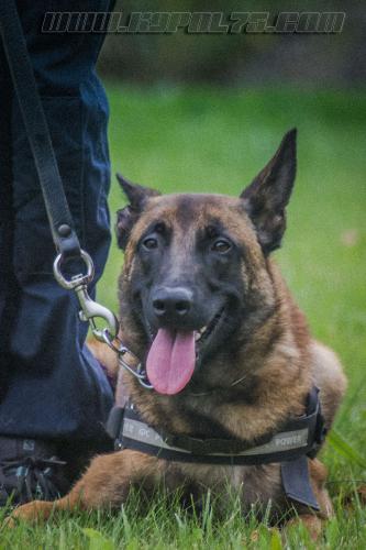 Manny2-27092017-small-