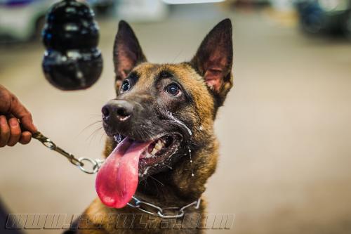 Manny2small-20092017-