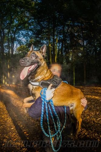 Manny3-3-small-31102017-