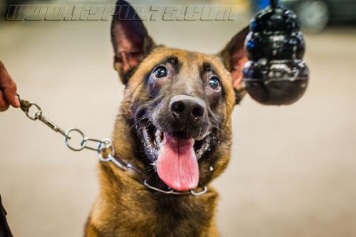 Manny3small-20092017-