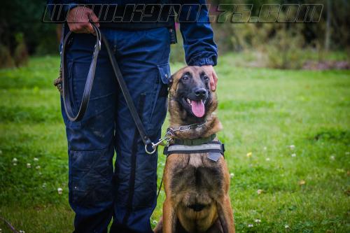 Manny6-27092017-small-