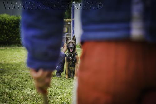 Paddy01-03072017small