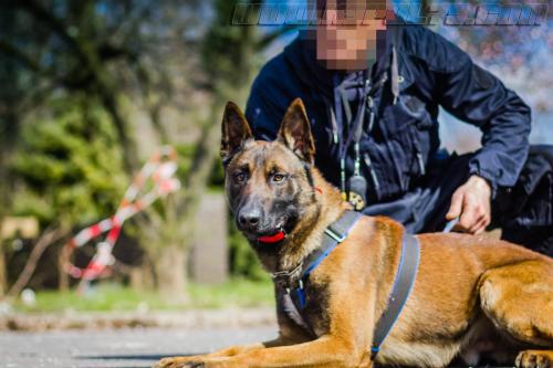 Baddy5-small-21032018-