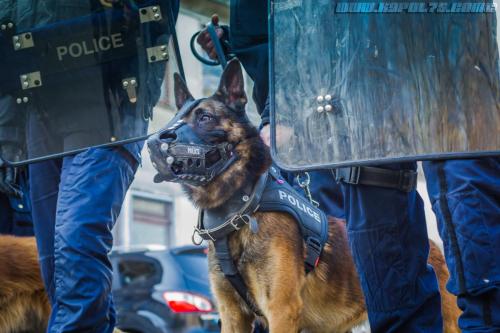 DefenseInter0114122018