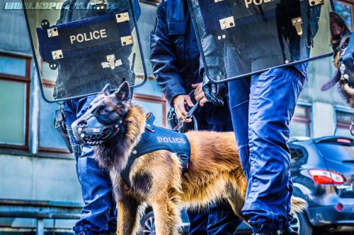 DefenseInter0214122018