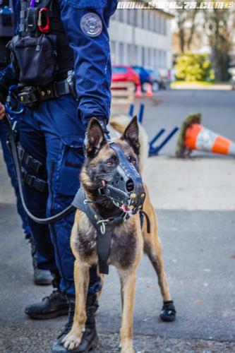 DefenseInter0314122018