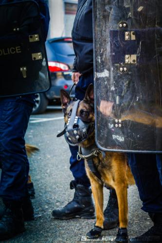 DefenseInter0414122018