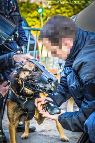 DefenseInter0714122018