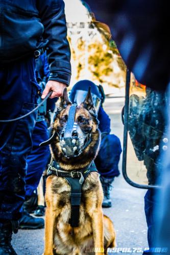 DefenseInter0814122018