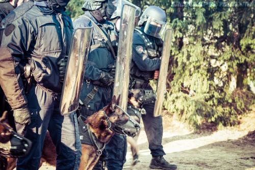 DefenseInter0914122018