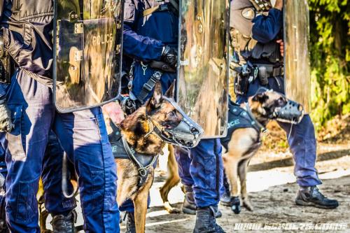 DefenseInter1014122018