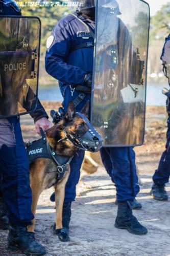 DefenseInter1114122018