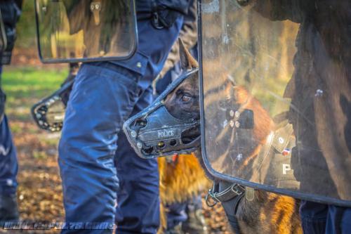 DefenseInter1314122018