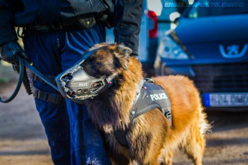 DefenseInter1714122018