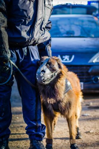 DefenseInter1814122018