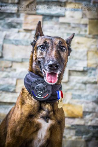 Djima1small-21102018