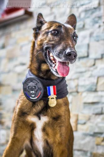 Djima2small-21102018