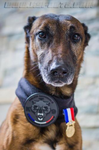 Djima4small-21102018