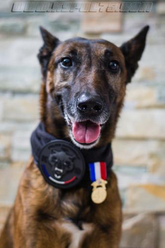 Djima5small-21102018