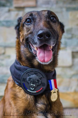 Djima6small-21102018