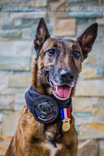 Djima7small-21102018