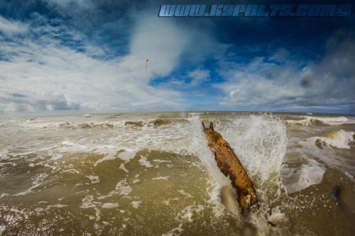 Djimathie1-05082018-