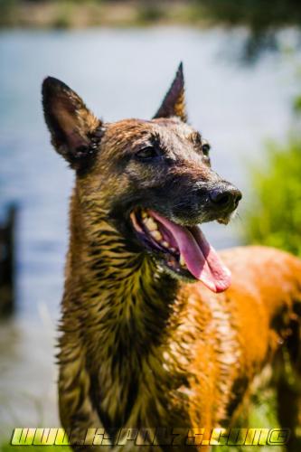 Djimathie1-BIG-01072018-