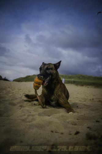 Djimathie1-Big-28072018-