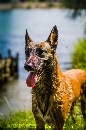 Djimathie2-BIG-01072018-