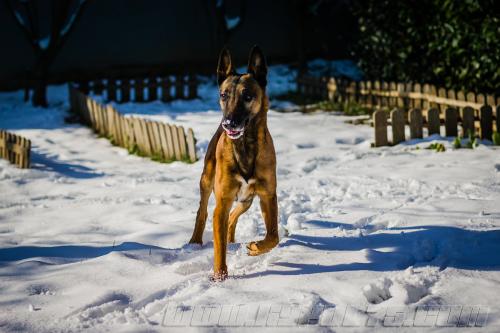 Djimathie2-small-08022018-