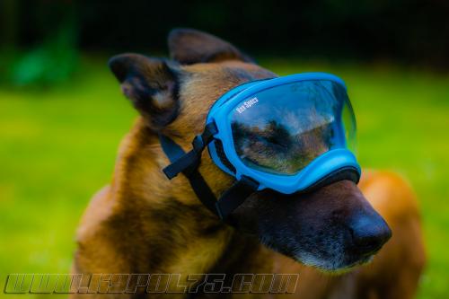 Djimathie2-small-15042018