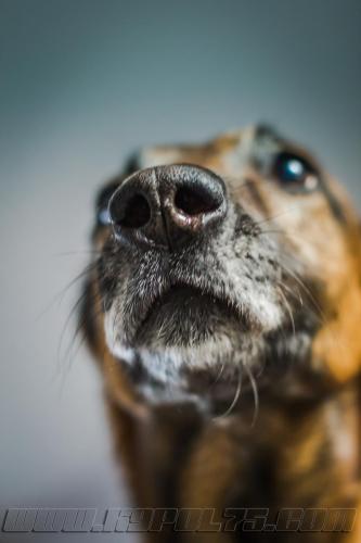 Djimathie2small-28022018-