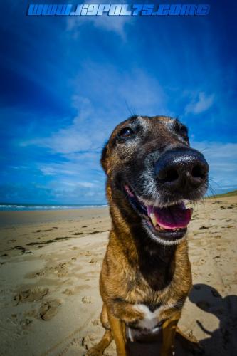 Djimathie3-05082018-