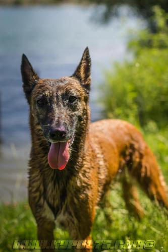 Djimathie3-BIG-01072018-