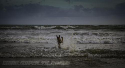 Djimathie3-Big-28072018-