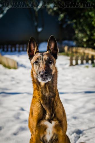 Djimathie3-small-08022018-