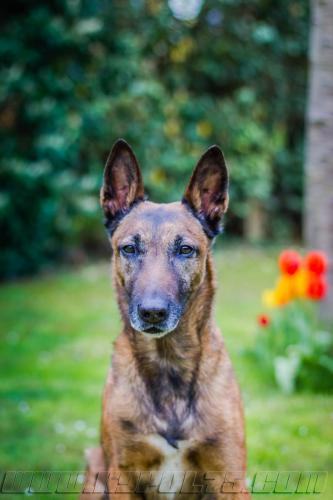 Djimathie3-small-15042018