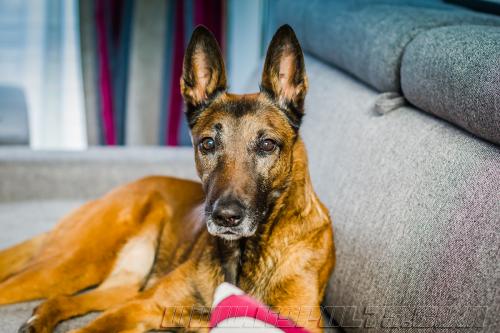 Djimathie3small-28022018-