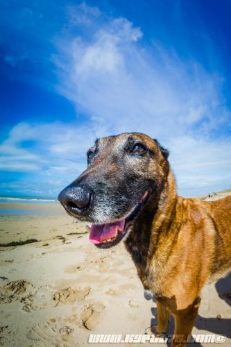 Djimathie4-05082018-