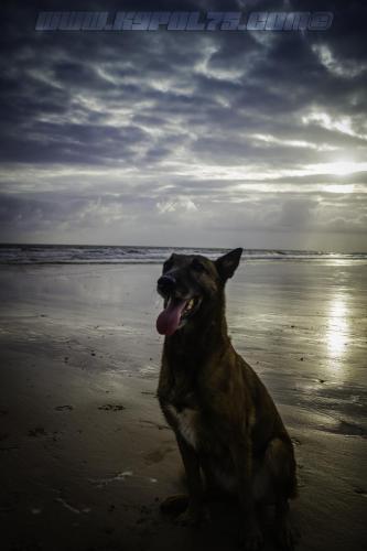 Djimathie4-Big-28072018-