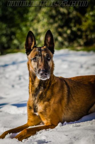 Djimathie4-small-08022018-