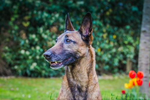 Djimathie4-small-15042018