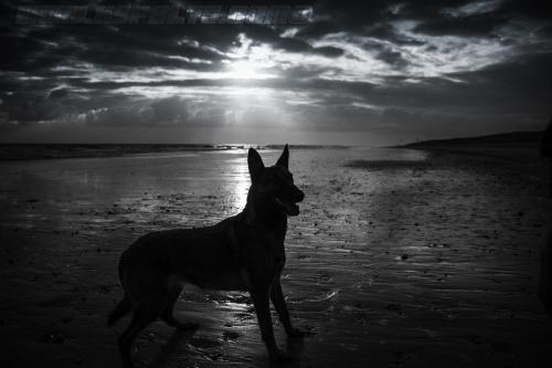 Djimathie5-Big-28072018-