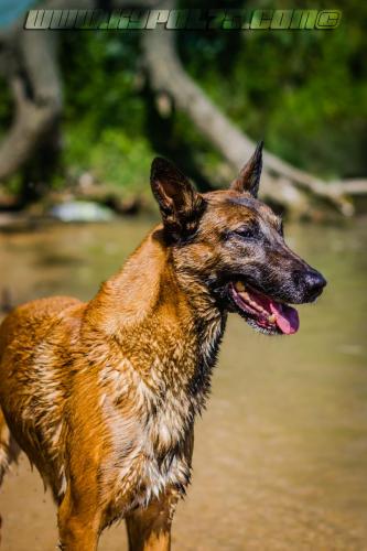 Djimathie7-BIG-01072018-