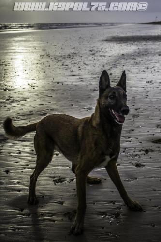 Djimathie7-Big-28072018-