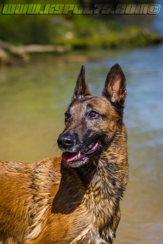 Djimathie8-BIG-01072018-