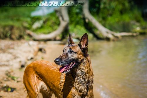 Djimathie9-BIG-01072018-