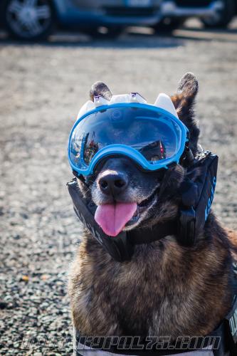 Fusil1small-28022018-